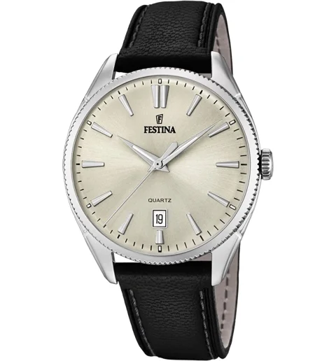 Мужские часы Festina F16977/3
