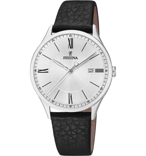 Мужские часы Festina F16978/1