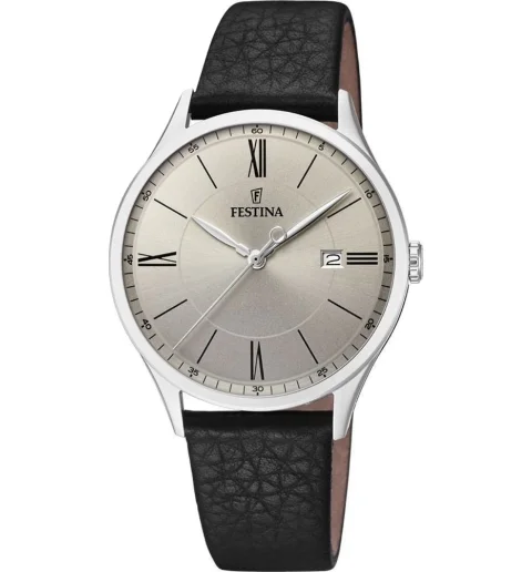 Мужские часы Festina F16978/2