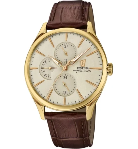 Мужские часы Festina F16993/1