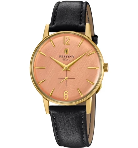 Мужские часы Festina F20249/3