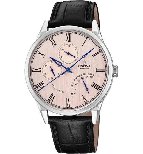 Мужские часы Festina F20278/2