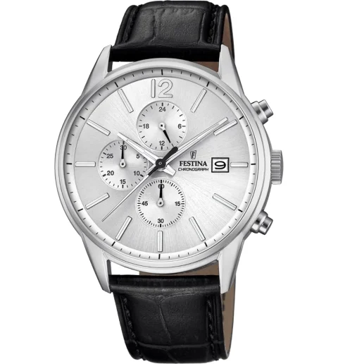 Мужские часы Festina F20284/1