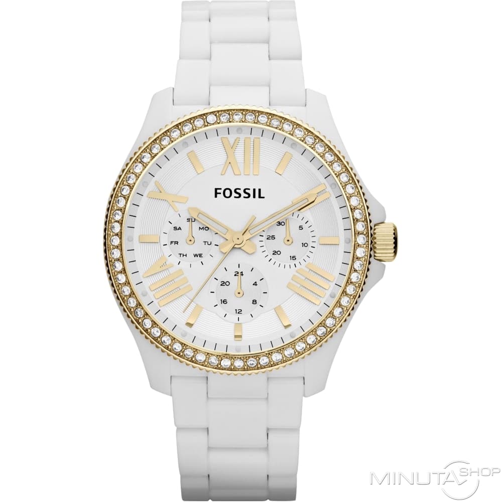 Fossil AM4493