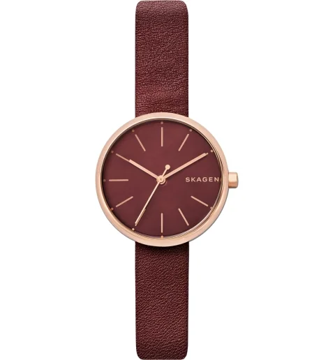 Женские часы Skagen SKW2646