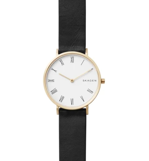 Женские часы Skagen SKW2678