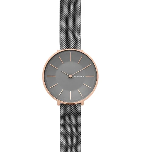 Женские Skagen SKW2689