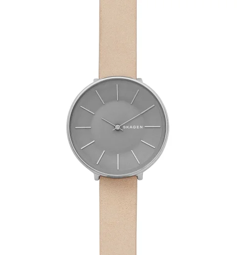 Женские Skagen SKW2691